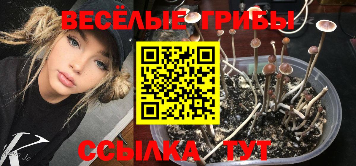 наркота  Вход с VPN  Сургут  Псилоцибиновые грибы ЛСД 